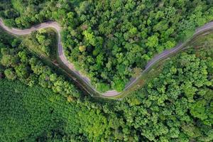 road and green trees from above in the summer forest photo