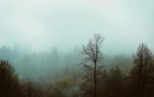 Landscape of the hill with haystacks in the great mountains in spring in the cloudy day photo