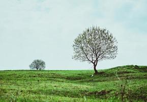 Landscape of the hill with haystacks in the great mountains in spring in the cloudy day photo