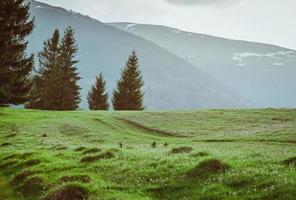 Landscape of the hill with haystacks in the great mountains in spring in the cloudy day photo