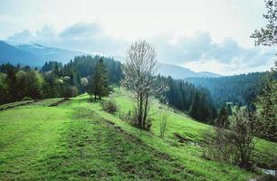 Landscape of the hill with haystacks in the great mountains in spring in the cloudy day photo