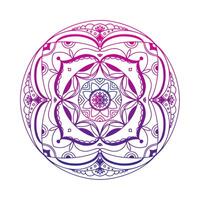 Mandala flowers with colored, geometric ethnic decorations. photo