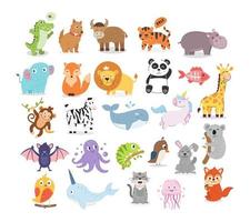 Collection of animal illustrations vector