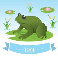 Cute frog cartoon. Cartoon frog sitting on the lily water. Water lily leaf and flower, Vector illustration