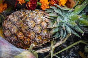 pineapple fruite image in indian pooja photo