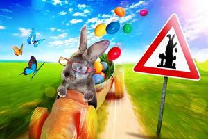 Funny Easter bunny. Happy Easter holiday concept. photo