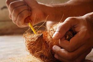 man peeling coconut from hand image indoor shoot photo