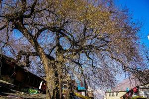 vista del cielo azul de himachal pradesh foto