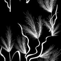 White grass flowers on a black background. Fabric pattern wallpaper. vector