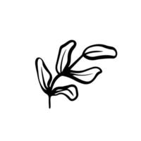 lindo patrón de primavera floral en estilo doodle. flor de jardín elegante, plantas, hojas, botánica, diseño vectorial para moda, tela, papel pintado y todas las huellas de manos. vector de patrón floral de moda