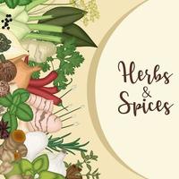 Vector illustration of Background design with herbs and spices