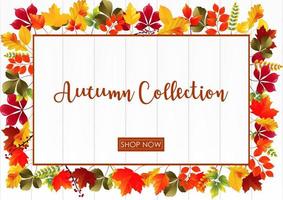 Autumn sale template with colorful leaves on wood background vector