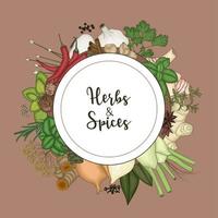 Round frame background with spices and herbs vector