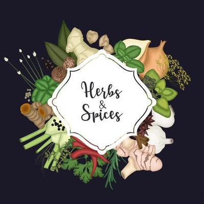 Vector illustration of Card design background with spices and herbs