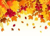 Vector illustration of Falling autumn leaves