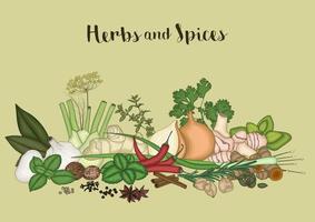 Vector illustration of Herbs and spices background