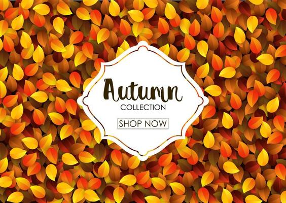 Autumn collection sale banner