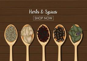 Spices in wooden spoons over wooden background vector
