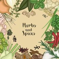 Vector illustration of Background design with herbs and spices