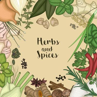 Vector illustration of Background design with herbs and spices