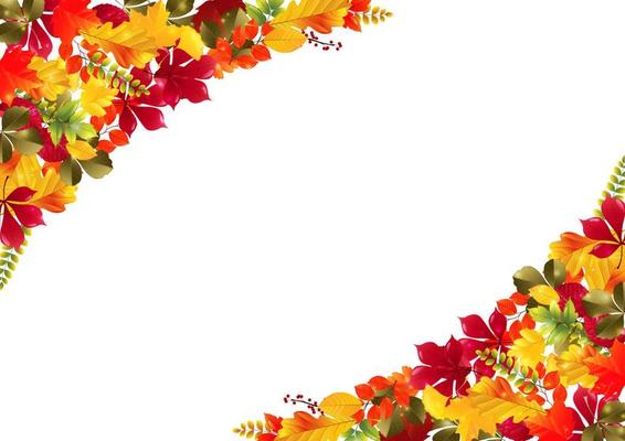 Vector illustration of Autumn leaves background