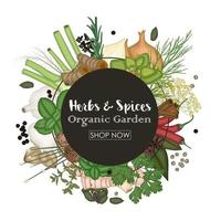 Vector illustration of Spice and herb round frame background