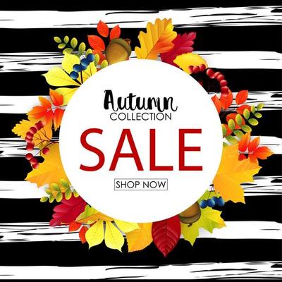 Vector illustration of Autumn sale round background with colorful leaves