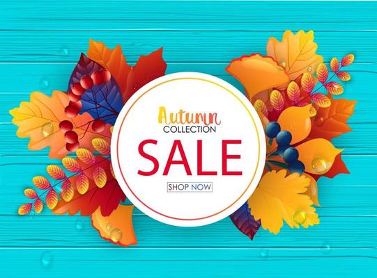 Vector illustration of Autumn sale banner