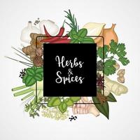 Vector illustration of Square design background with spices and herbs