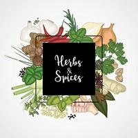 Vector illustration of Square design background with spices and herbs