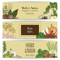 Horizontal banner set with spices and herbs vector
