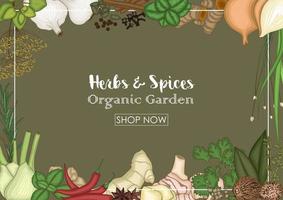 Vector illustration of Herbs and spices decorative background