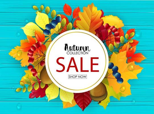 Vector illustration of Autumn sale banner