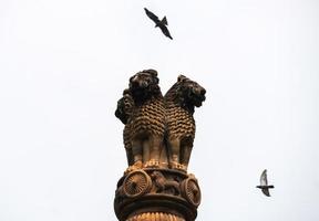imagen del pilar de ashoka en el cielo con pájaros volando foto