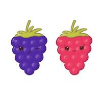 Kawaii blackberry and raspberry. Cute character with happy face. Vector illustration isolated on white background