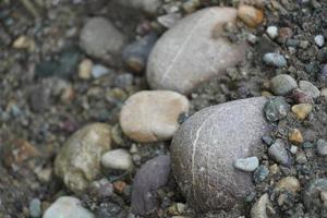 Stone image in forest with small images photo