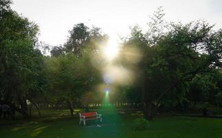 beautiful park with lense falare image photo