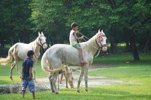 horseback riding kids image in park photo
