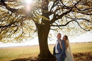 hermosa joven pareja abrazándose en sus vestidos de novia en el parque de otoño. foto