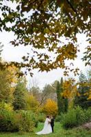 la novia y el novio en el fondo del parque de otoño. foto