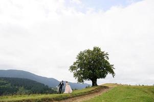 la novia y el novio se abrazan bajo un viejo roble. sesión de fotos de boda en las montañas.