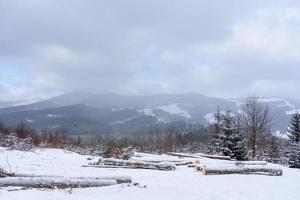 Spruce mountain forest covered by snow. photo