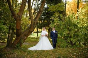 la novia y el novio en el fondo del parque de otoño. foto