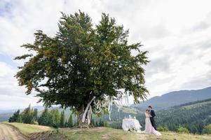 la novia y el novio se abrazan bajo un viejo roble. sesión de fotos de boda en las montañas. junto a ellos se prepara la decoración para la ceremonia.