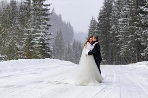 The groom leads his bride by the hand to a lonely old beech. Winter wedding. Place for a logo. photo