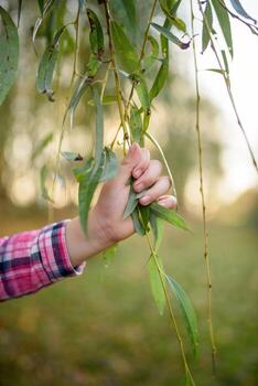Father, daughter and mother walking outdoors. Happy family. photo