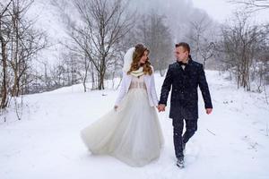 The groom leads his bride by the hand to a lonely old beech. Winter wedding. Place for a logo.
