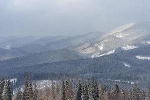 Spruce mountain forest covered by snow. photo