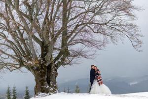 The groom leads his bride by the hand to a lonely old beech. Winter wedding. Place for a logo. photo