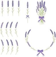 Set of Elements for Design Lavender Branches Lavender Bouquet Lavender Frame vector